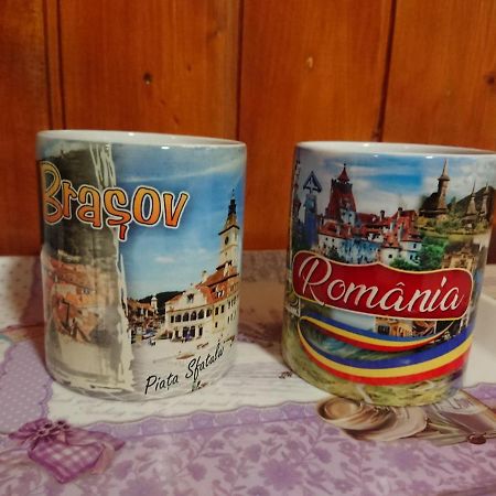 Katy'S Studio Apartment Brasov Luaran gambar