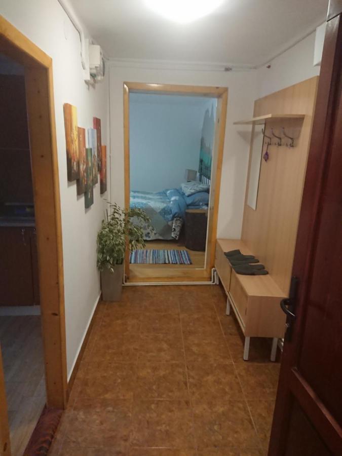 Katy'S Studio Apartment Brasov Luaran gambar