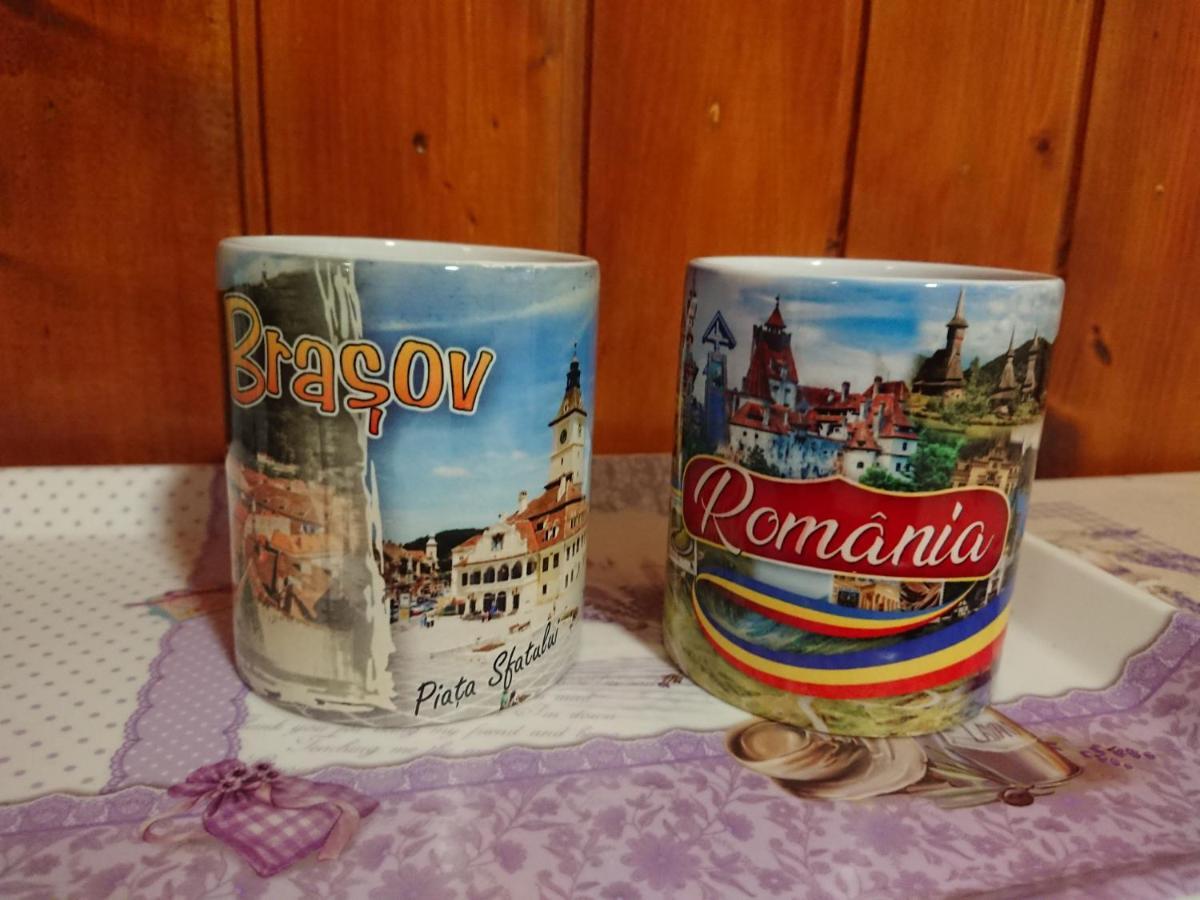 Katy'S Studio Apartment Brasov Luaran gambar